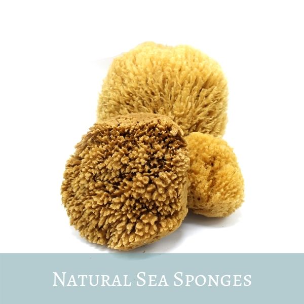 Natural Sea Sponges: Bath, Shower, Facial or Exfoliating